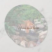 Falln Drinking Tiger (Front/Back)