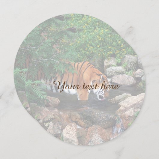 Falln Drinking Tiger (Front/Back)