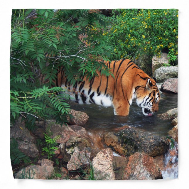 Falln Drinking Tiger Bandana (Front)