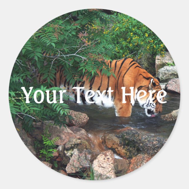 Falln Drinking Tiger Classic Round Sticker (Front)