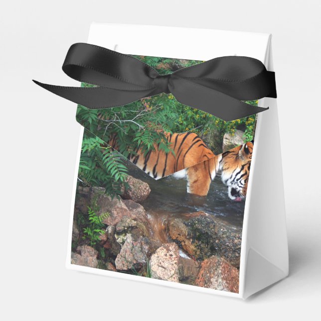 Falln Drinking Tiger Favor Boxes (Front Side)