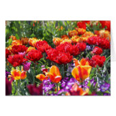 Falln Floral Crimson Waves (Front Horizontal)