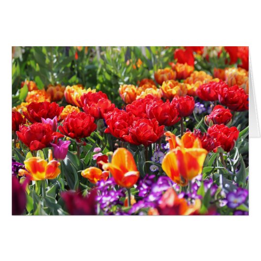 Falln Floral Crimson Waves (Front Horizontal)