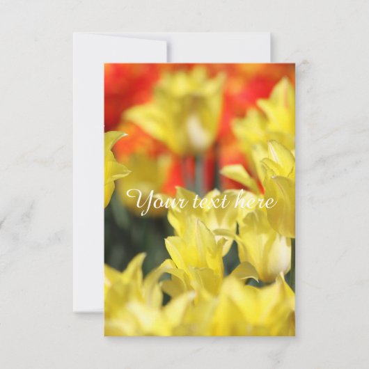 Falln Floral Summer Glow (Front)