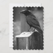 Falln Found A Feather (Back)