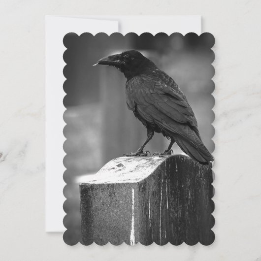 Falln Found A Feather (Back)