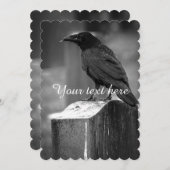 Falln Found A Feather (Front/Back)