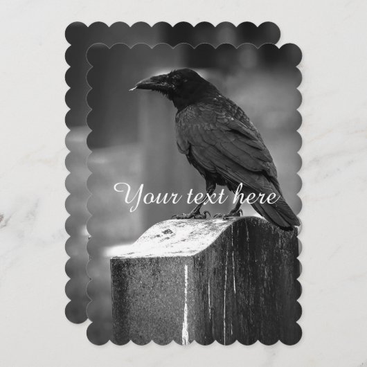 Falln Found A Feather (Front/Back)