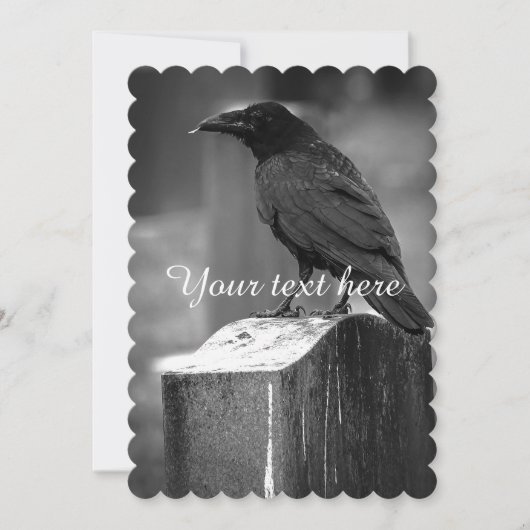 Falln Found A Feather (Front)