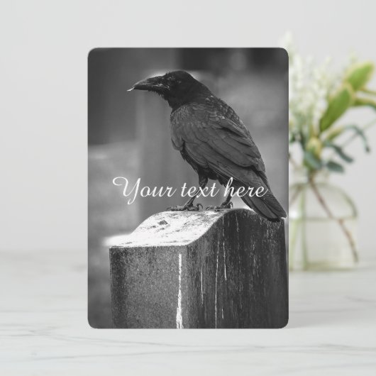 Falln Found A Feather (Standing Front)