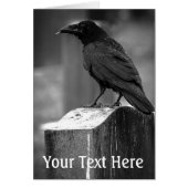 Falln Found A Feather (Front)