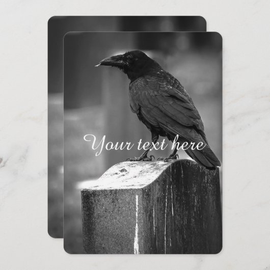 Falln Found A Feather (Front/Back)