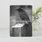 Falln Found A Feather (Standing Front)