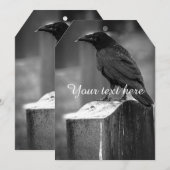 Falln Found A Feather (Front/Back)