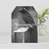 Falln Found A Feather (Standing Front)