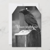 Falln Found A Feather (Front)