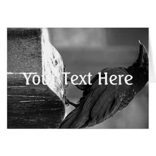 Falln Found A Feather Cards (Front Horizontal)