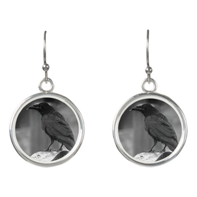 Falln Found A Feather Earrings (Front)