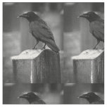 Falln Found A Feather Fabric