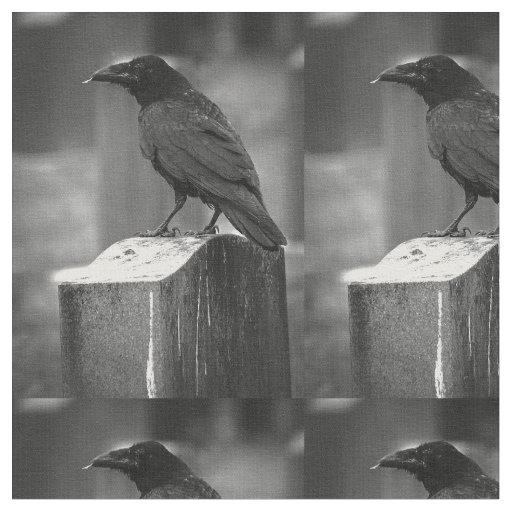 Falln Found A Feather Fabric