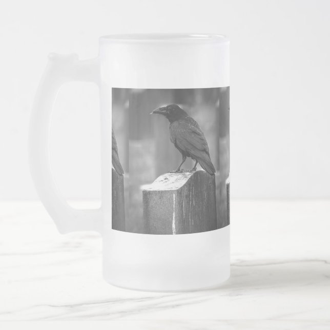 Falln Found A Feather Frosted Glass Beer Mug (Left)