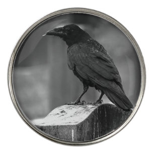 Falln Found A Feather Golf Ball Marker
