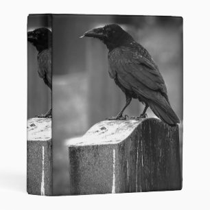 Falln Found A Feather Mini Binder