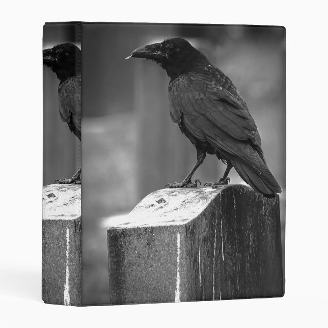 Falln Found A Feather Mini Binder (Front/Spine)