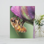 Falln Fuzzy Little Bee (Standing Front)