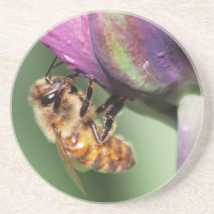 Falln Fuzzy Little Bee Coaster