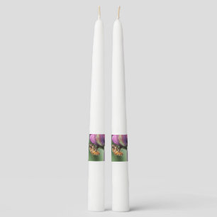 Falln Fuzzy Little Bee Taper Candle
