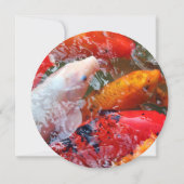 Falln Gathering Koi (Back)