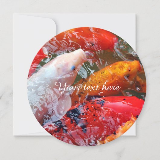 Falln Gathering Koi (Front)