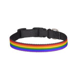 Falln Gay Pride Flag Pet Collar