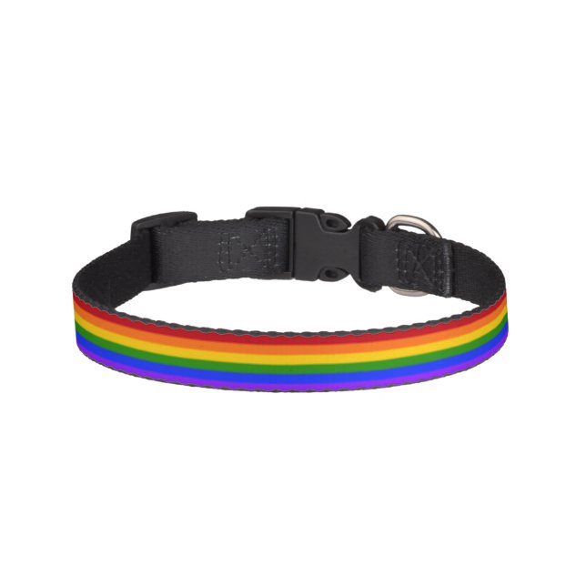 Falln Gay Pride Flag Pet Collar (Front)