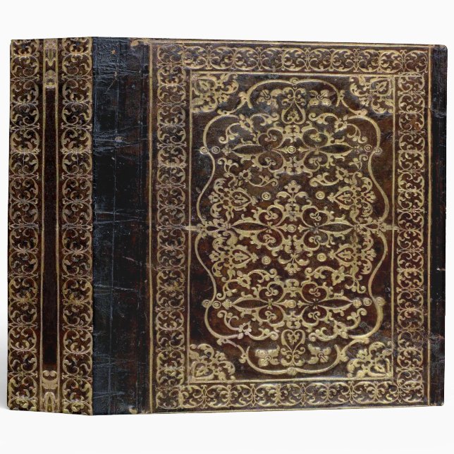 Falln Gilded Leather Tome Book Binder (Front/Spine)