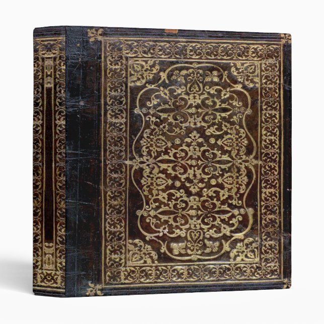 Falln Gilded Leather Tome Book Binder (Front/Spine)