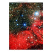 Falln Gold Dusted Galaxy (Front)