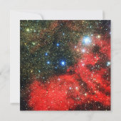 Falln Gold Dusted Galaxy (Back)