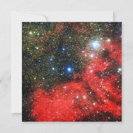 Falln Gold Dusted Galaxy (Back)