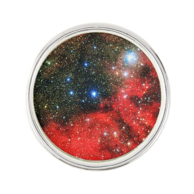 Falln Gold Dusted Galaxy Pin (Front)