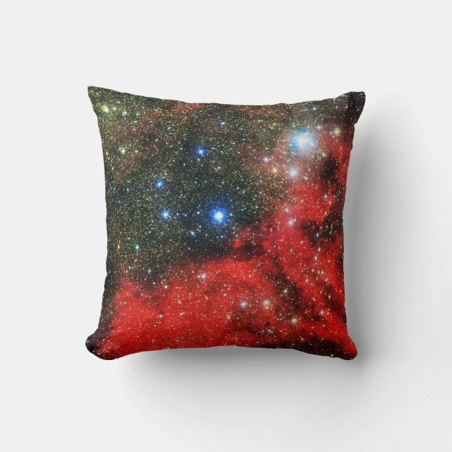 Falln Gold Dusted Galaxy Throw Pillow (Front)
