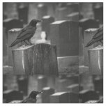 Falln It Can't Rain All The Time Fabric