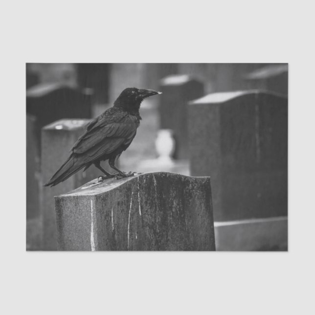 Falln It Can't Rain All The Time Tissue Paper (Front)