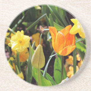 Falln Little Bee in Flight Drink Coaster