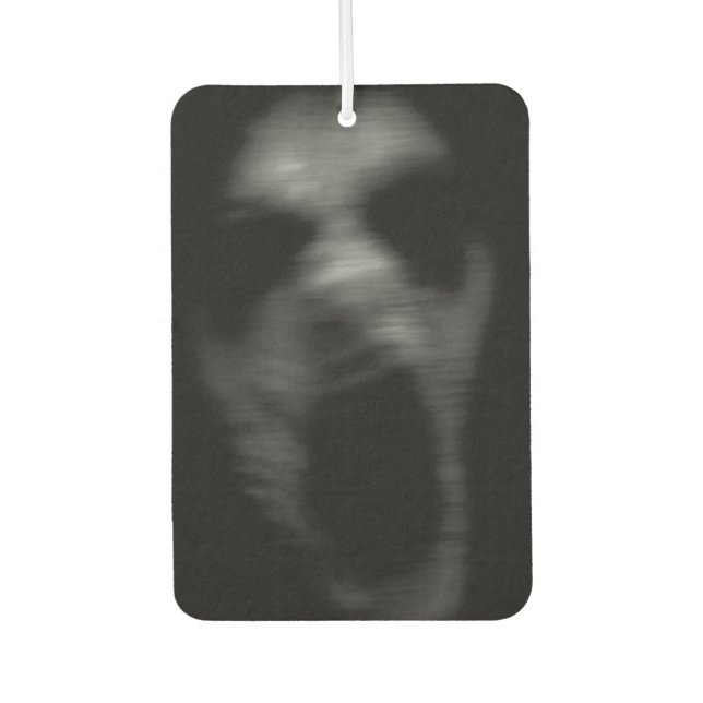 Falln Mental Disturbances Air Freshener (Front)