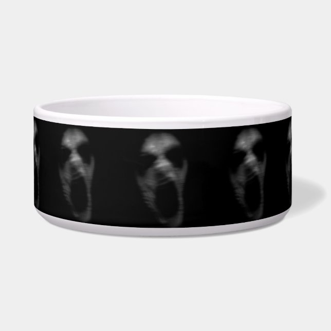 Falln Mental Disturbances Bowl (Front)