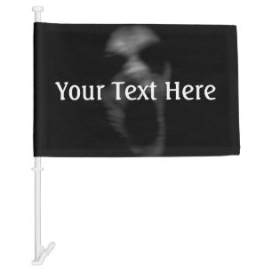 Falln Mental Disturbances Car Flag