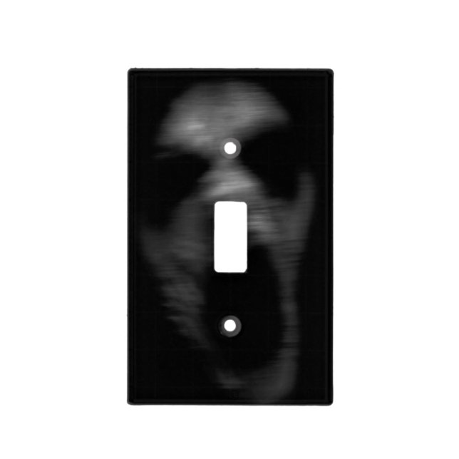 Falln Mental Disturbances Light Switch Cover (Front)