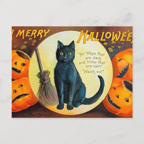 Falln Merry Halloween Cat Postcard